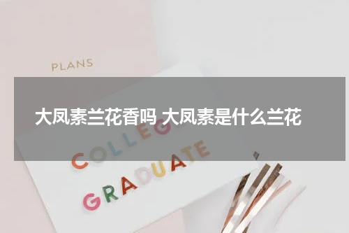 大凤素兰花香吗 大凤素是什么兰花