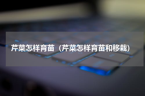 芹菜怎样育苗（芹菜怎样育苗和移栽）