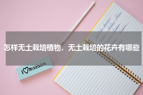 怎样无土栽培植物，无土栽培的花卉有哪些