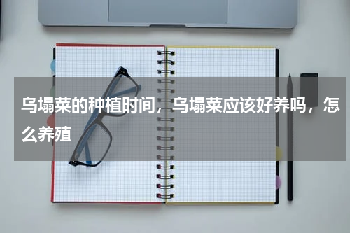 乌塌菜的种植时间，乌塌菜应该好养吗，怎么养殖