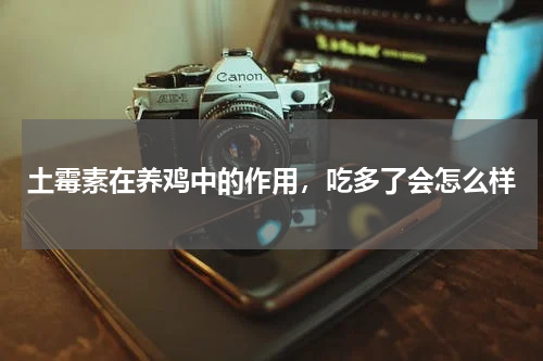 土霉素在养鸡中的作用，吃多了会怎么样