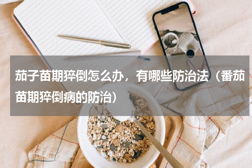 茄子苗期猝倒怎么办，有哪些防治法（番茄苗期猝倒病的防治）