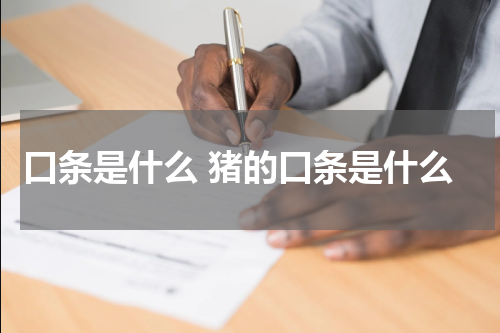 口条是什么 猪的口条是什么
