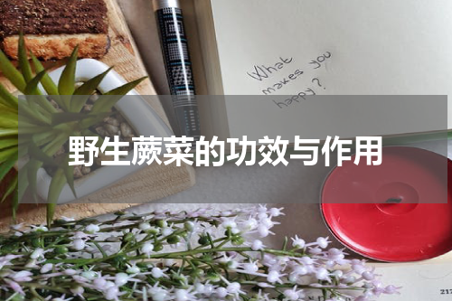 野生蕨菜的功效与作用