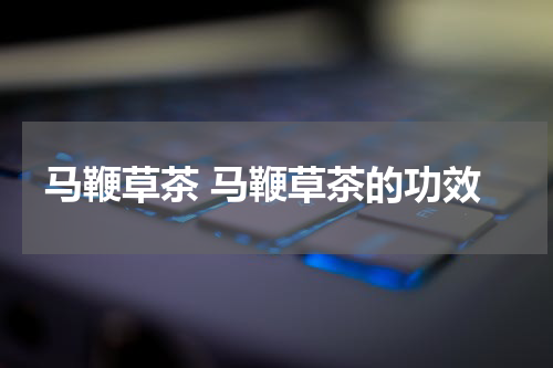 马鞭草茶 马鞭草茶的功效