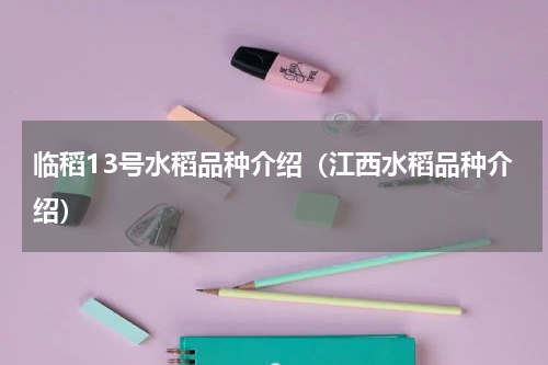 临稻13号水稻品种介绍（江西水稻品种介绍）