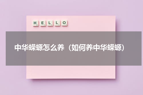 中华蝾螈怎么养（如何养中华蝾螈）