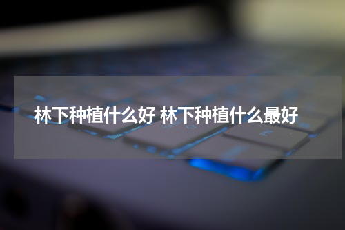 林下种植什么好 林下种植什么最好