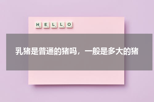 乳猪是普通的猪吗，一般是多大的猪