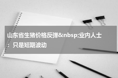 山东省生猪价格反弹&nbsp;业内人士：只是短期波动