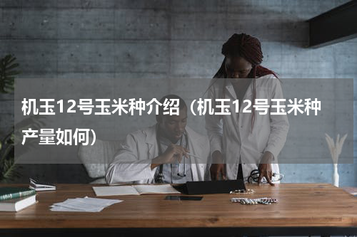 机玉12号玉米种介绍（机玉12号玉米种产量如何）