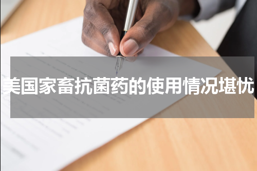 美国家畜抗菌药的使用情况堪忧