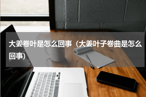 大姜卷叶是怎么回事（大姜叶子卷曲是怎么回事）