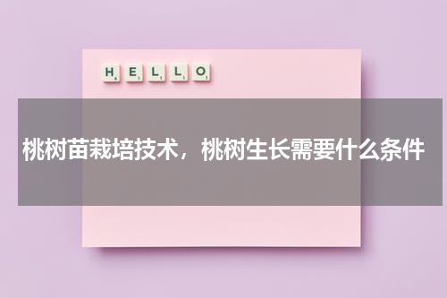 桃树苗栽培技术，桃树生长需要什么条件