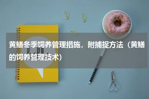 黄鳝冬季饲养管理措施，附捕捉方法（黄鳝的饲养管理技术）