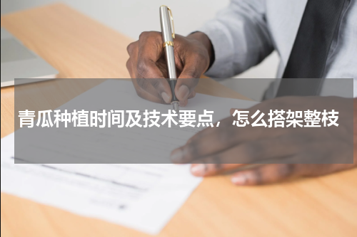 青瓜种植时间及技术要点，怎么搭架整枝