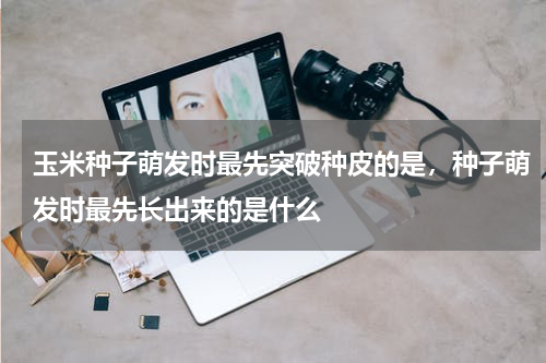 玉米种子萌发时最先突破种皮的是，种子萌发时最先长出来的是什么