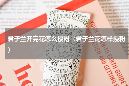 君子兰开完花怎么授粉（君子兰花怎样授粉）