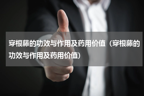 穿根藤的功效与作用及药用价值（穿根藤的功效与作用及药用价值）