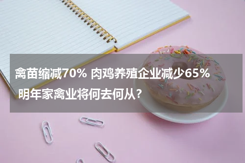 禽苗缩减70% 肉鸡养殖企业减少65% 明年家禽业将何去何从？
