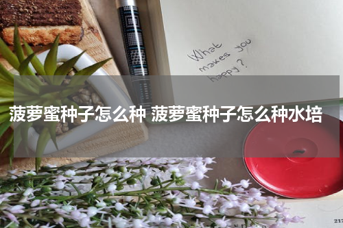 菠萝蜜种子怎么种 菠萝蜜种子怎么种水培
