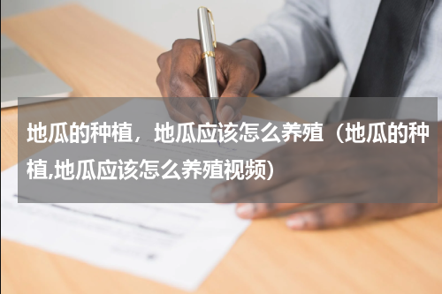 地瓜的种植，地瓜应该怎么养殖（地瓜的种植,地瓜应该怎么养殖视频）