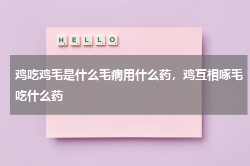 鸡吃鸡毛是什么毛病用什么药，鸡互相啄毛吃什么药