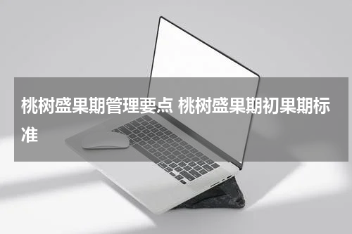 桃树盛果期管理要点 桃树盛果期初果期标准