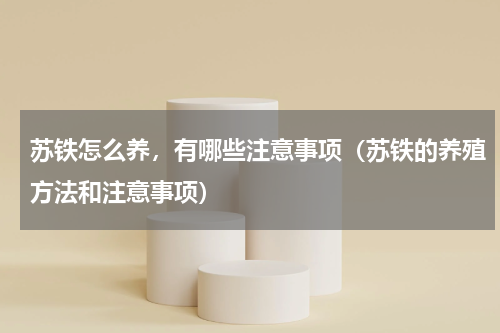 苏铁怎么养，有哪些注意事项（苏铁的养殖方法和注意事项）
