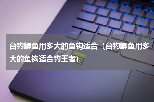 台钓鲫鱼用多大的鱼钩适合（台钓鲫鱼用多大的鱼钩适合钓王者）