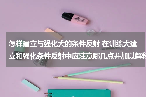 怎样建立与强化犬的条件反射 在训练犬建立和强化条件反射中应注意哪几点并加以解释