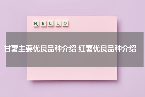 甘薯主要优良品种介绍 红薯优良品种介绍