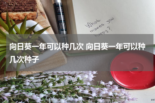 向日葵一年可以种几次 向日葵一年可以种几次种子