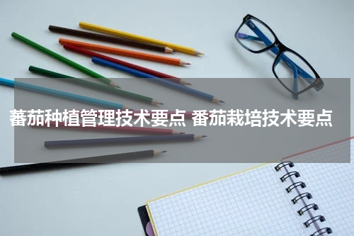 蕃茄种植管理技术要点 番茄栽培技术要点