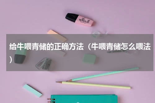 给牛喂青储的正确方法（牛喂青储怎么喂法）