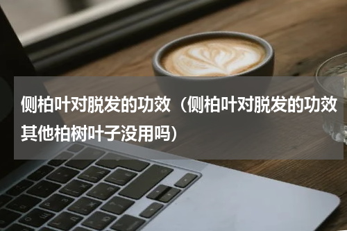 侧柏叶对脱发的功效（侧柏叶对脱发的功效其他柏树叶子没用吗）