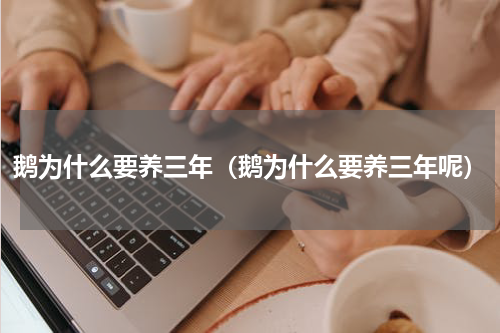 鹅为什么要养三年（鹅为什么要养三年呢）