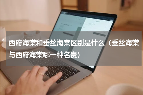 西府海棠和垂丝海棠区别是什么（垂丝海棠与西府海棠哪一种名贵）