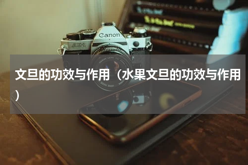 文旦的功效与作用（水果文旦的功效与作用）