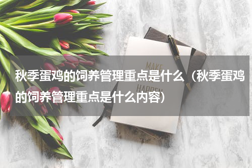秋季蛋鸡的饲养管理重点是什么（秋季蛋鸡的饲养管理重点是什么内容）
