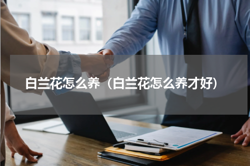 白兰花怎么养（白兰花怎么养才好）
