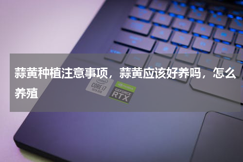蒜黄种植注意事项，蒜黄应该好养吗，怎么养殖