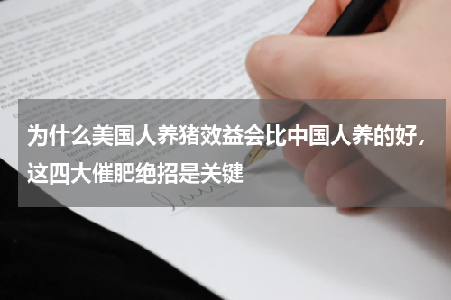 为什么美国人养猪效益会比中国人养的好，这四大催肥绝招是关键