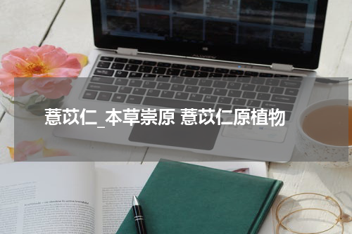 薏苡仁_本草崇原 薏苡仁原植物