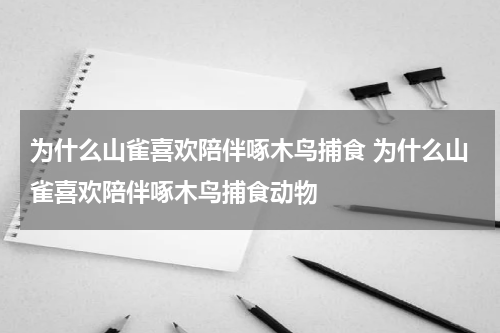 为什么山雀喜欢陪伴啄木鸟捕食 为什么山雀喜欢陪伴啄木鸟捕食动物