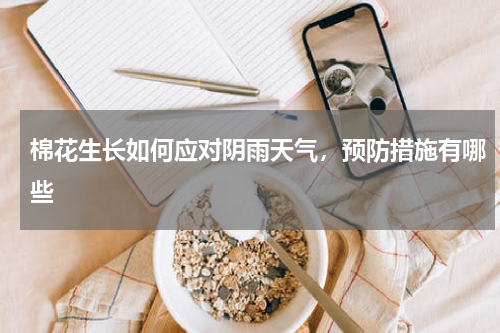 棉花生长如何应对阴雨天气，预防措施有哪些