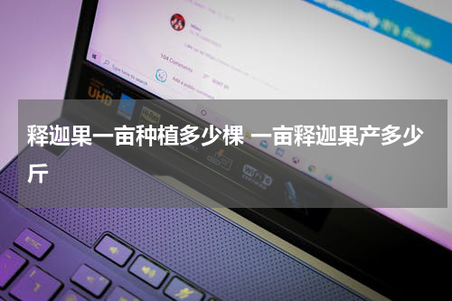 释迦果一亩种植多少棵 一亩释迦果产多少斤