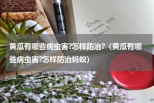 黄瓜有哪些病虫害?怎样防治?（黄瓜有哪些病虫害?怎样防治蚂蚁）