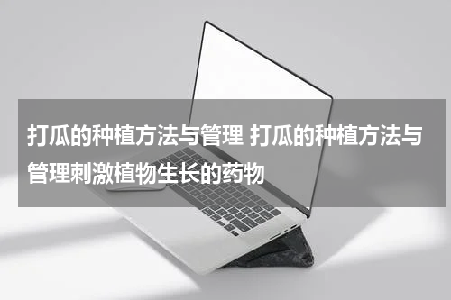 打瓜的种植方法与管理 打瓜的种植方法与管理刺激植物生长的药物