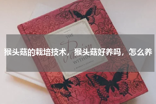 猴头菇的栽培技术，猴头菇好养吗，怎么养